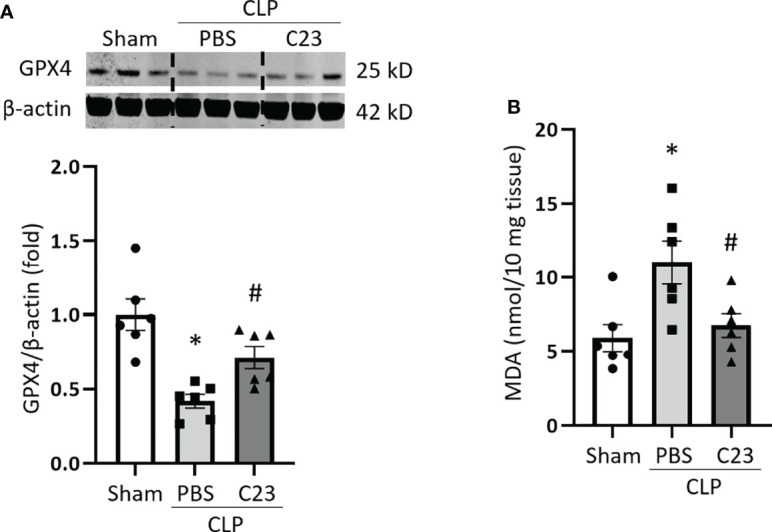 Figure 6