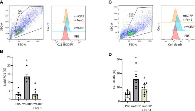 Figure 2