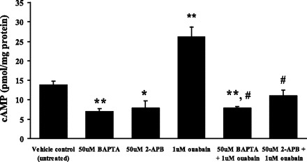 Fig. 11.