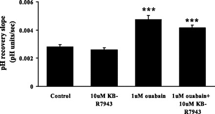 Fig. 10.