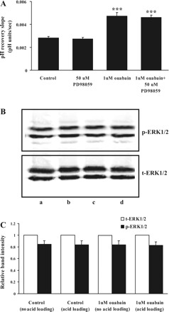 Fig. 13.