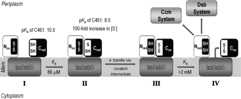 FIGURE 9.