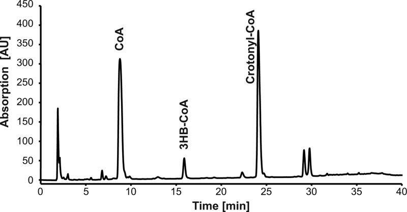 Fig 1