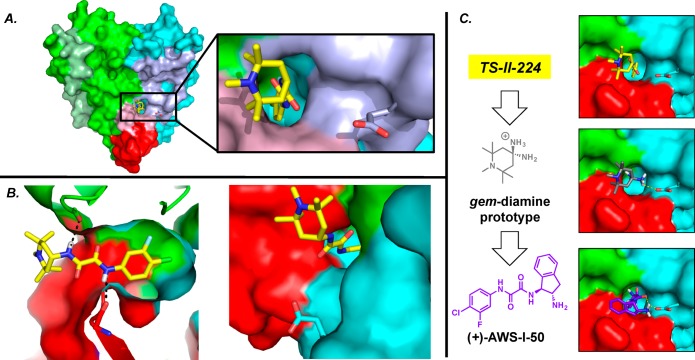 Figure 10