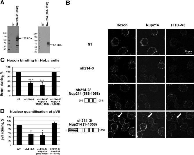 FIG 4