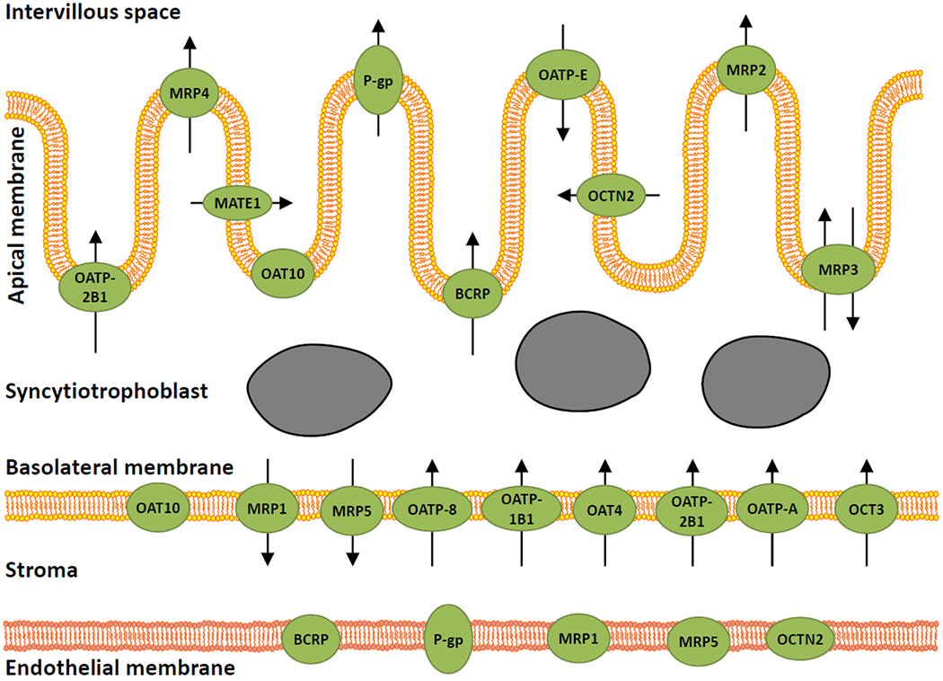 Figure 1.