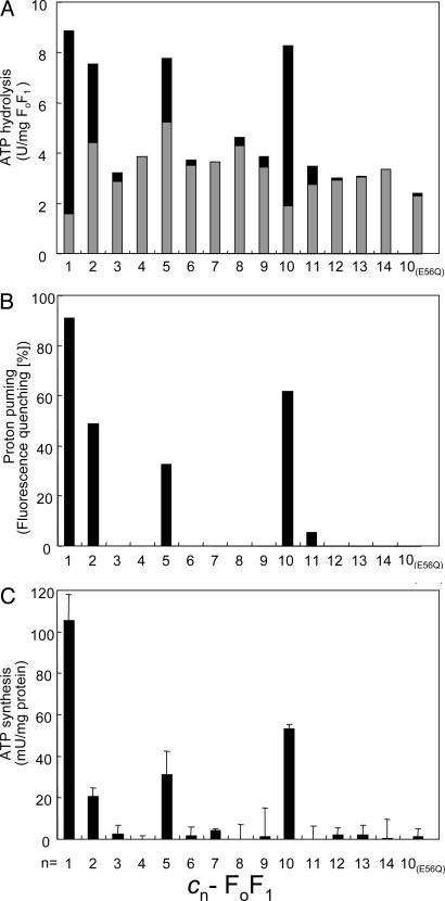 Fig. 3.