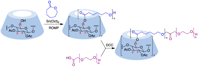 Figure 22