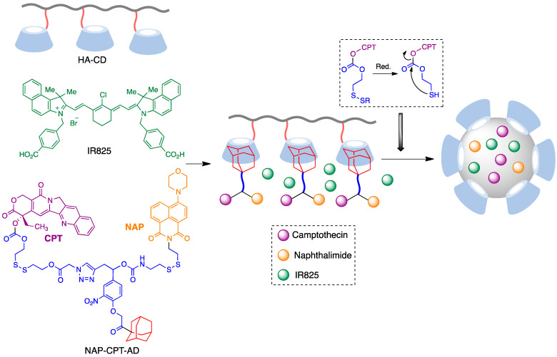 Figure 10