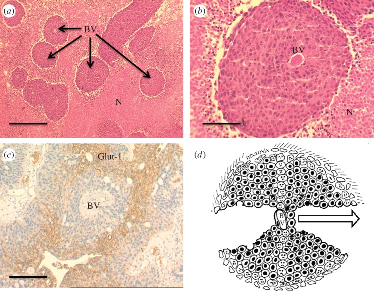 Figure 1.