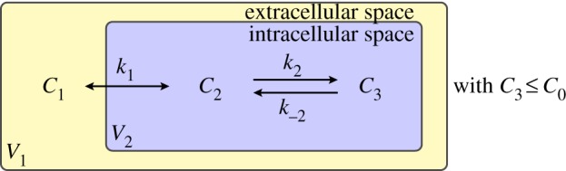 Figure 2.