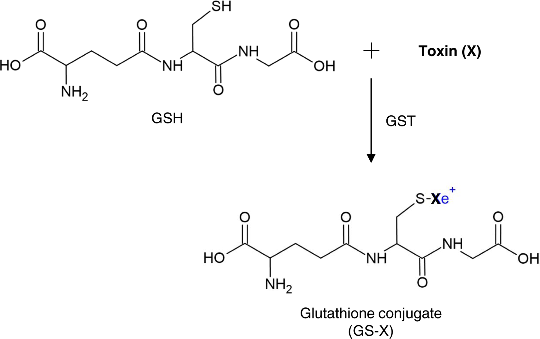 Fig 2.