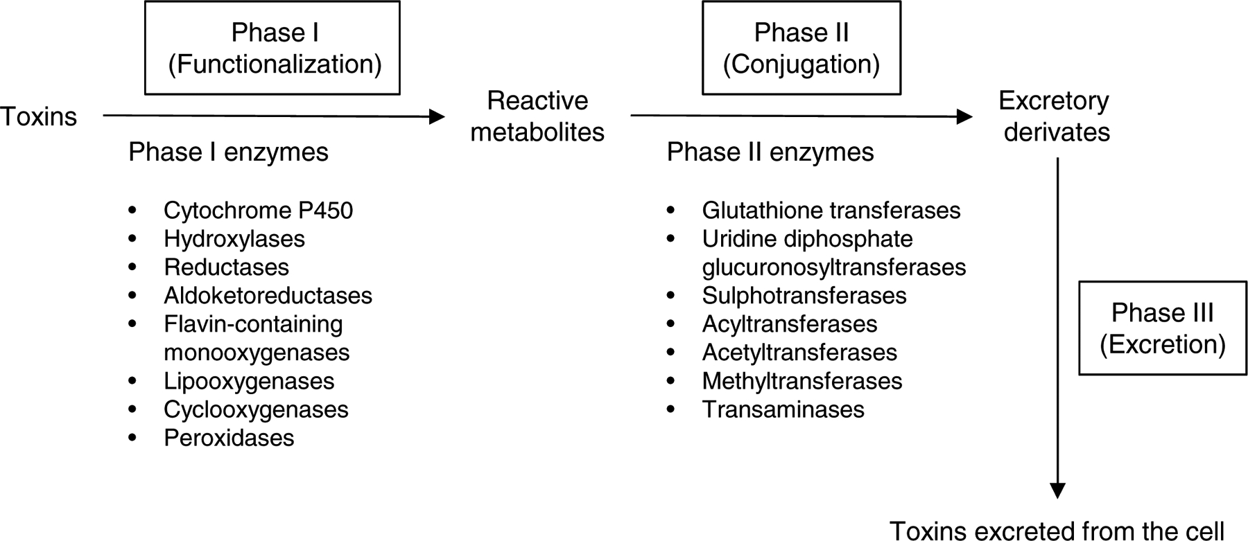 Fig 1.