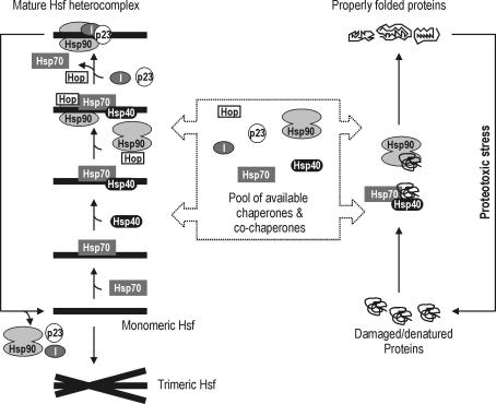 Fig 2.