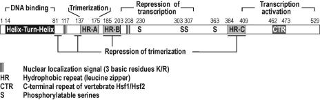 Fig 1.