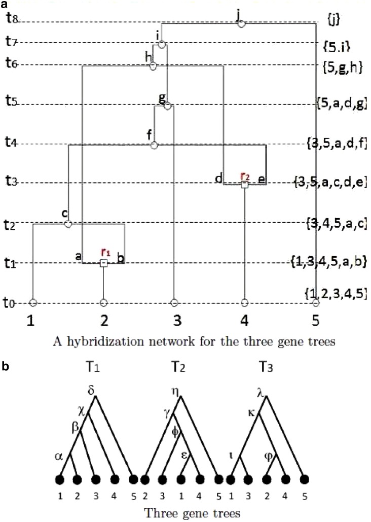 FIG. 1.