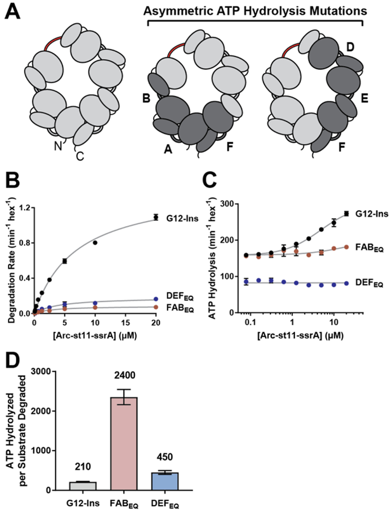 Figure 6 –