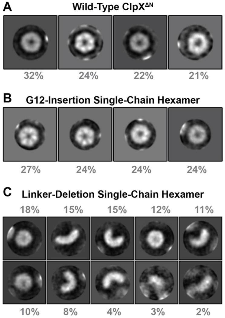 Figure 3 –