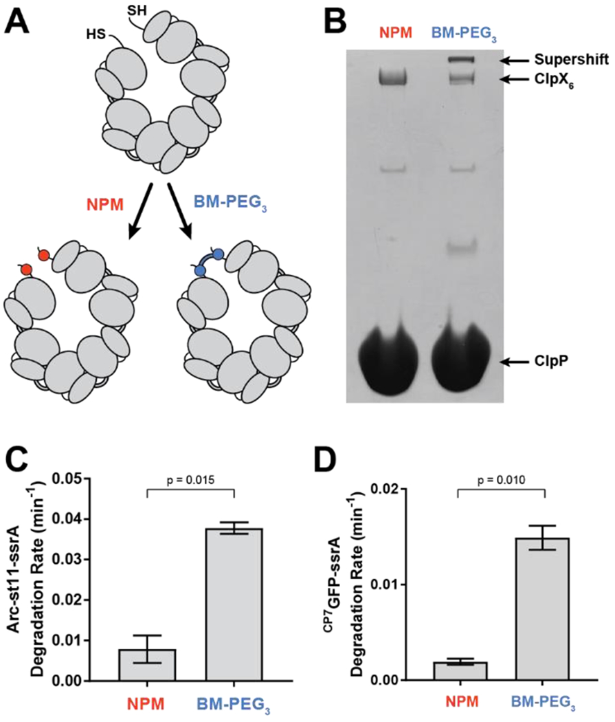 Figure 5 –