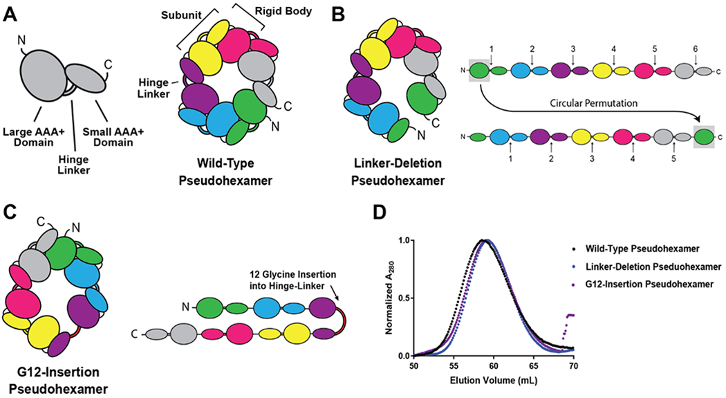 Figure 1 –