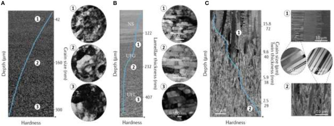 Figure 20