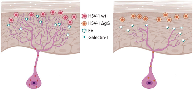 Fig 8