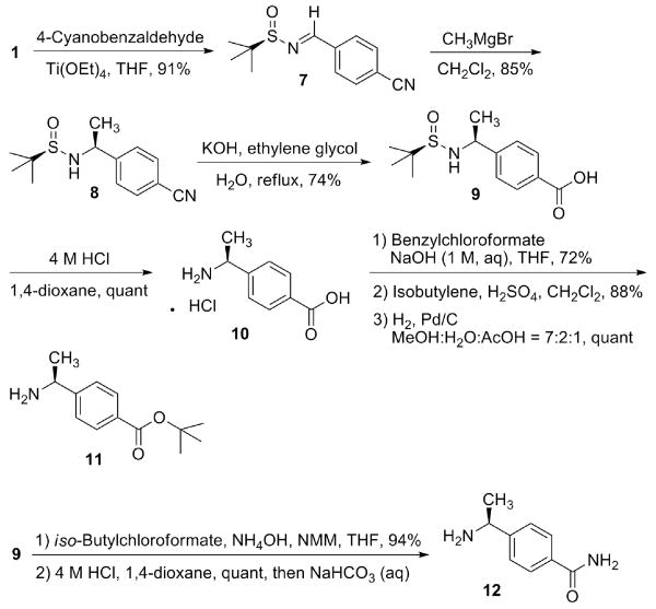 Scheme 2