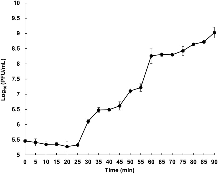 FIGURE 3