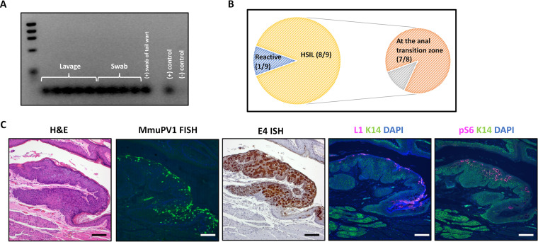 FIG 1