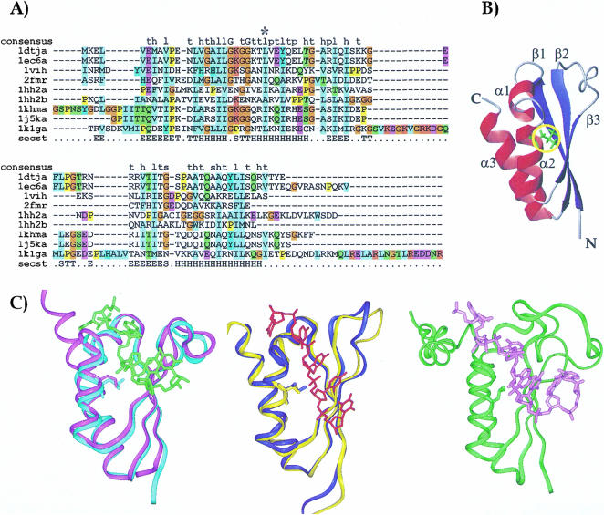 FIGURE 1.