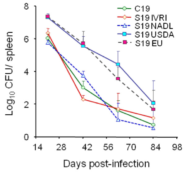 Figure 11