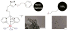 Fig. 14