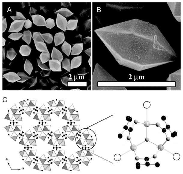 Fig. 13