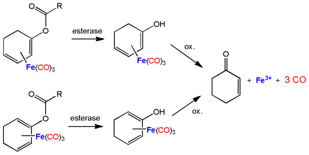 Fig. 8