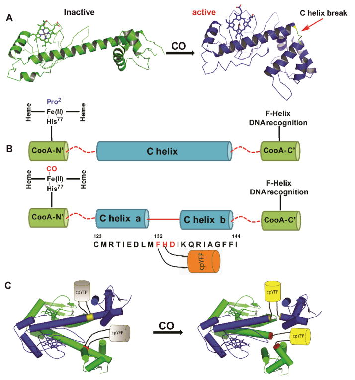 Fig. 6