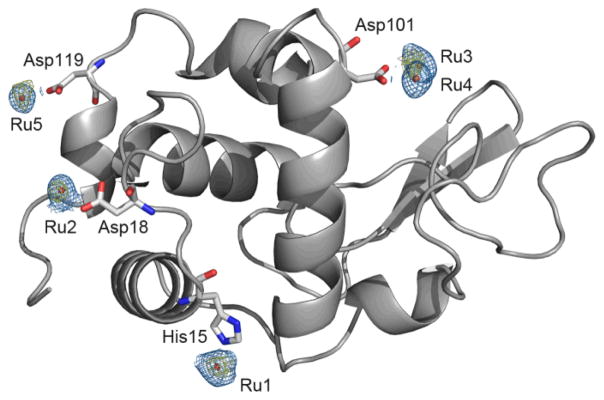 Fig. 9