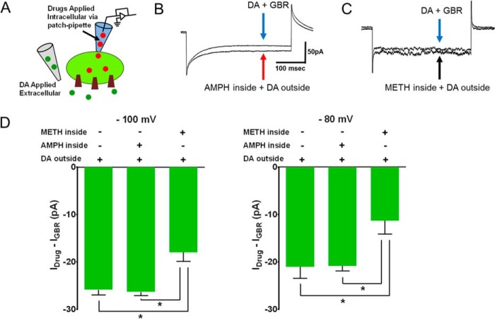 FIGURE 7.