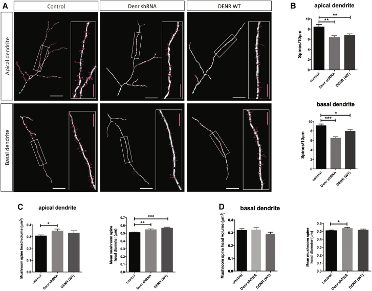 Figure 4