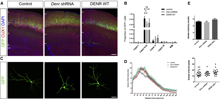 Figure 3