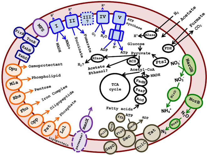 FIGURE 6