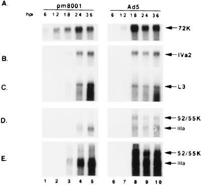 FIG. 7