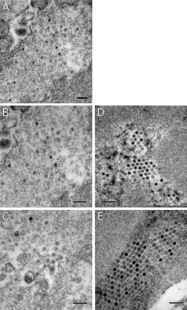 FIG. 8