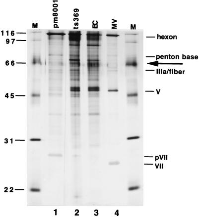 FIG. 9