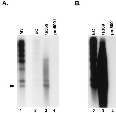 FIG. 11