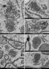 Fig. 10