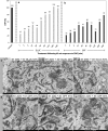 Fig. 9