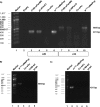 FIG 1