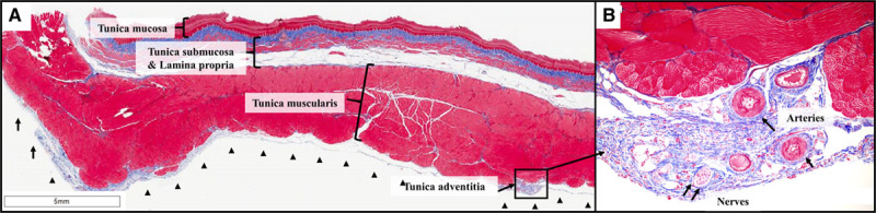 Figure 6.