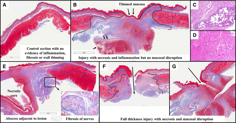 Figure 7.