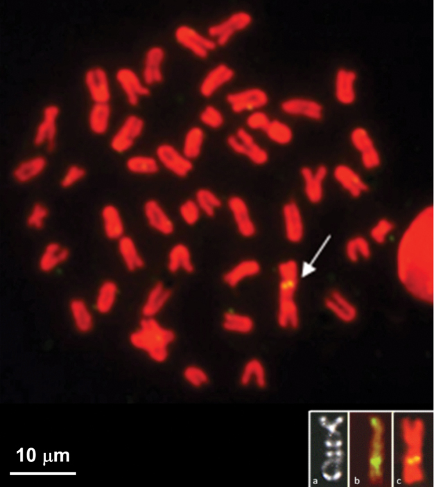 Figure 5.